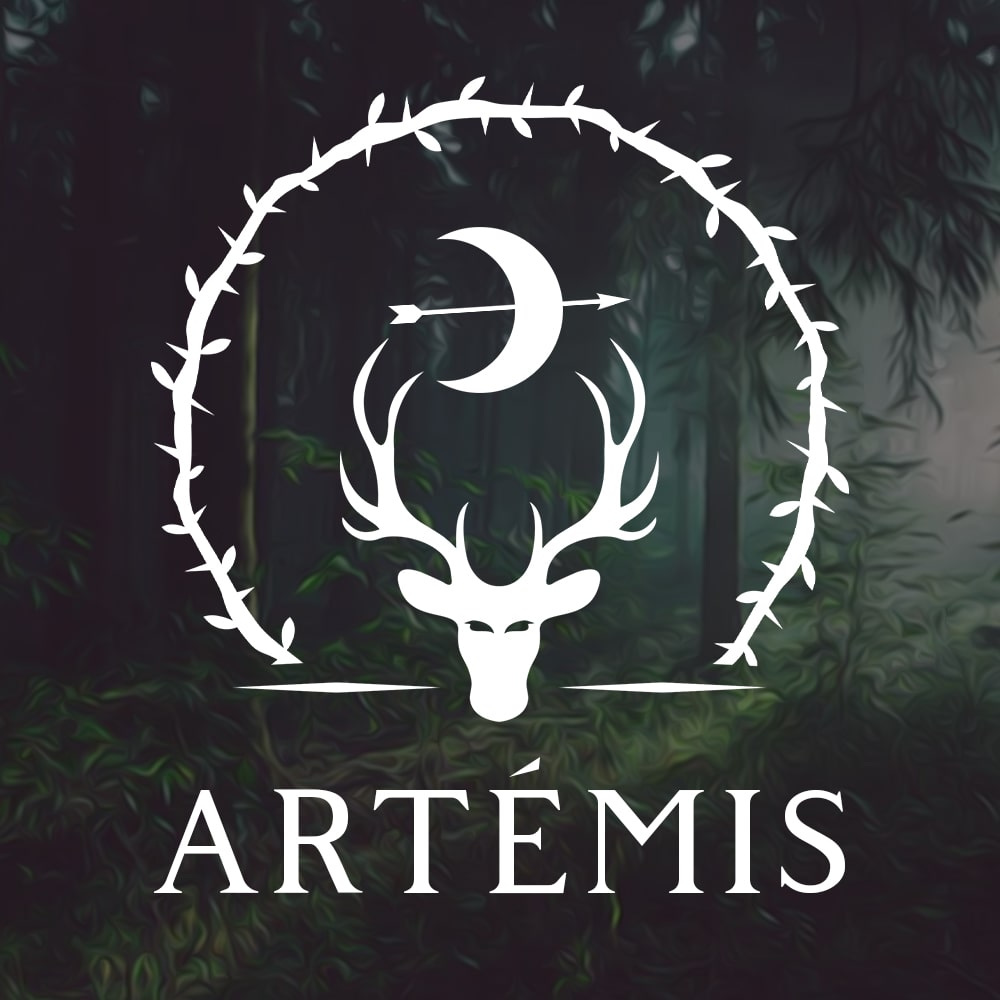SWEAT ARTÉMIS MYTHOLOGIE GRECQUE