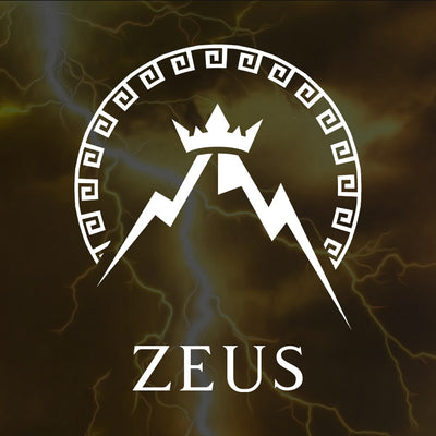 ZEUS SWEATSHIRT<br> GREEK MYTHOLOGY