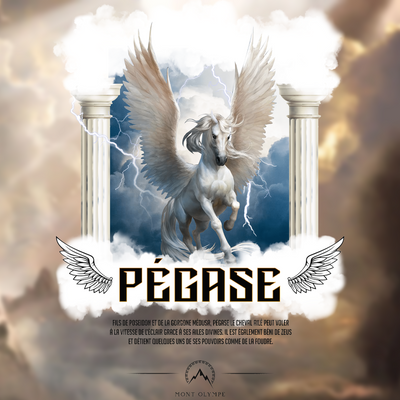 T-shirt Pégase Streetwear <br> mythologie grecque