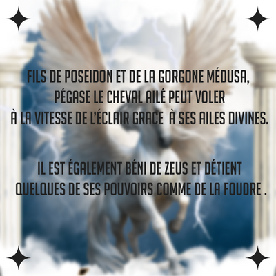 T-shirt Pégase Streetwear <br> mythologie grecque